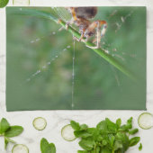 Araneus - Weaver Spider Handtuch (Gefaltet)