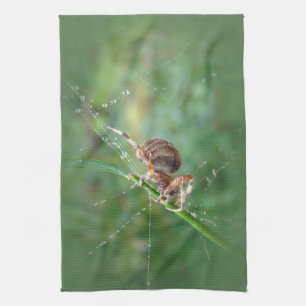 Araneus - Weaver Spider Handtuch