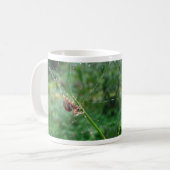 Araneus - Weaver Spider Kaffeetasse (Vorderseite Links)