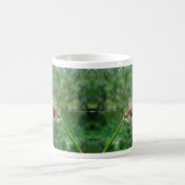 Araneus - Weaver Spider Kaffeetasse (Mittel)