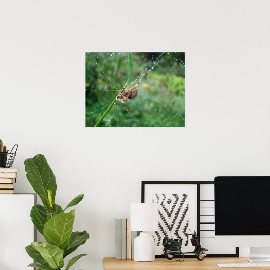 Araneus - Weaver Spider Poster (Heimbüro)
