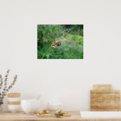 Araneus - Weaver Spider Poster (Küche)