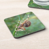 Araneus - Weaver Spider Untersetzer (Linke Seite)