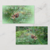 Araneus - Weaver Spider Visitenkarte (Vorne/Hinten)