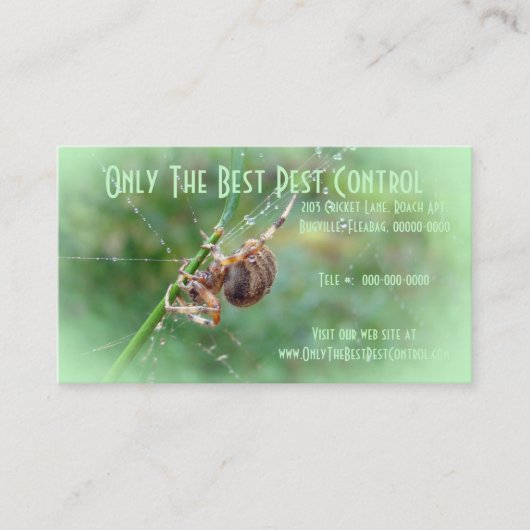 Araneus - Weaver Spider Visitenkarte (Vorderseite)