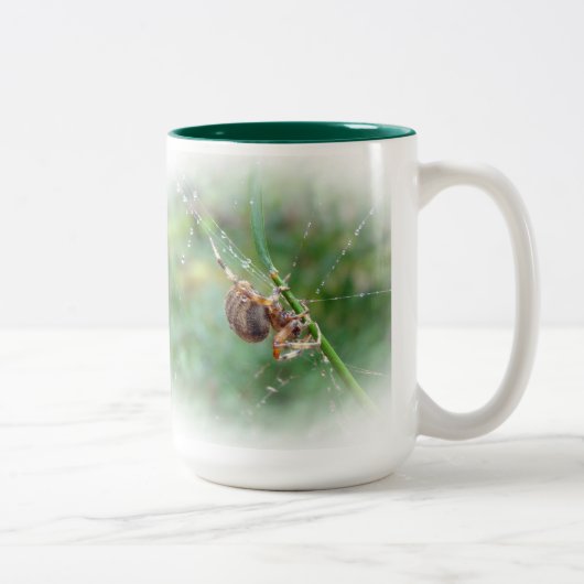 Araneus - Weaver Spider Zweifarbige Tasse (Rechts)
