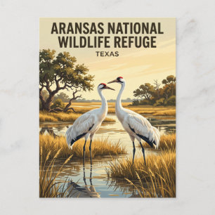 Aransas National Wildlife Refuge USA Postkarte