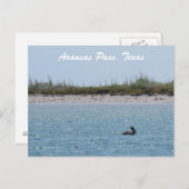Aransas Pass Texas Coast Postcad mit Pelican Postkarte (Vorne/Hinten)