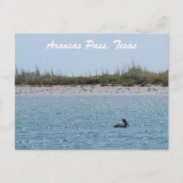 Aransas Pass Texas Coast Postcad mit Pelican Postkarte