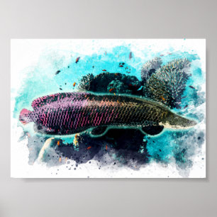 Arapaima Monster Fisch Pirarucu Paichu Poster