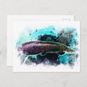 Arapaima Monster Fisch Pirarucu Paichu Postkarte (Vorne/Hinten)
