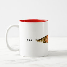 Arapaima Tasse | TASSE
