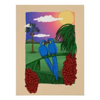 Arara azul - Blue macaw Poster