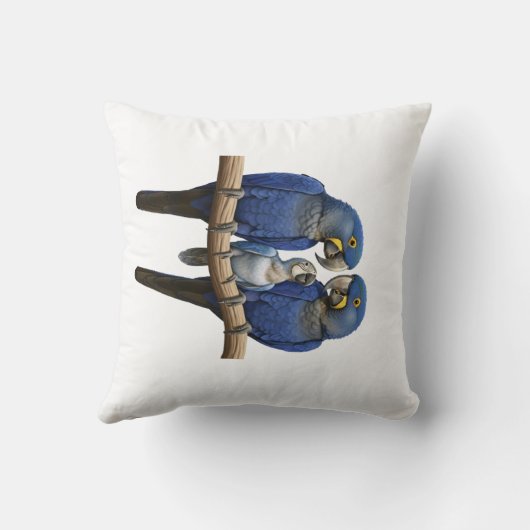 Arara azul kissen (Rückseite)