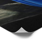 Arara Canindé Poster (Ecke)