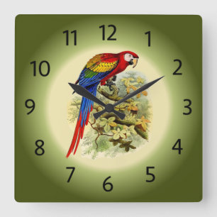 Arara macao - Ara macao - Scarlet Macaw - ~ Quadratische Wanduhr