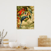 Aráras, Emil August Göldi (1900-1906) Poster (Küche)