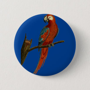 Ararotpapagei Button
