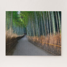 Arashiyama Bamboo Grove in Kyoto, Japan