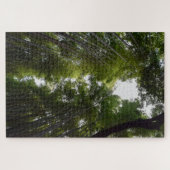 Arashiyama dec puzzle (Horizontal)