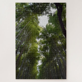 Arashiyama dec puzzle