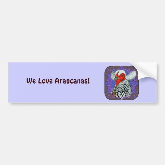 Araucana Head Gerahmt Autoaufkleber (Vorne)