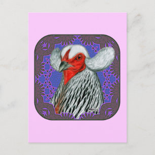 Araucana Head Gerahmt Postkarte