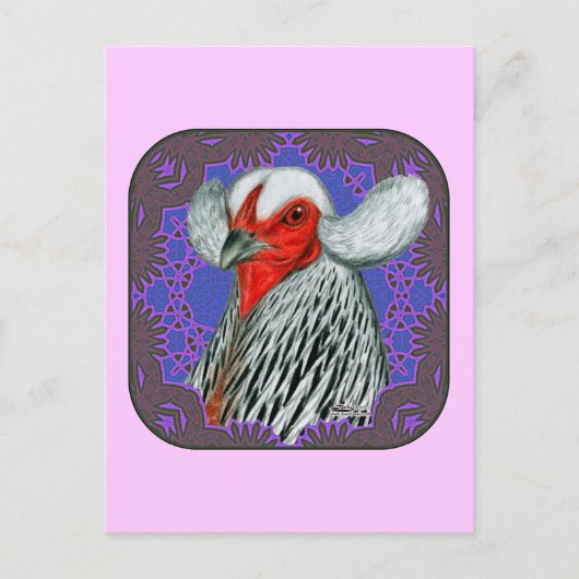 Araucana Head Gerahmt Postkarte (Vorderseite)