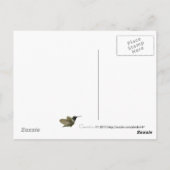 Araucana-Hühner-Ornithologie-Vögel Postkarte (Rückseite)