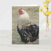 Araucana Rooster Karte (Gelbe Blume)