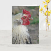 Araucana Rooster Karte (Gelbe Blume)