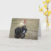 Araucana Rooster Karte (Gelbe Blume)
