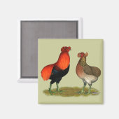 Araucana Rotes Paar Magnet (Vorderseite/Rückseite)