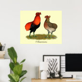 Araucana Rotes Paar Poster (Heimbüro)