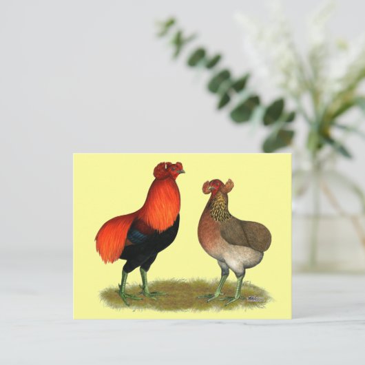 Araucana Rotes Paar Postkarte (Stehend Vorderseite)