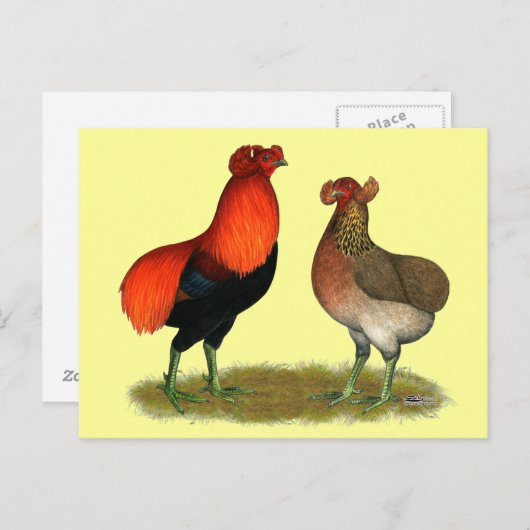 Araucana Rotes Paar Postkarte (Vorne/Hinten)