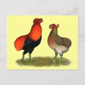 Araucana Rotes Paar Postkarte (Vorderseite)