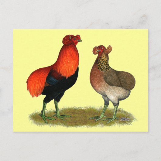 Araucana Rotes Paar Postkarte (Vorderseite)