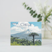 Araucaria Araucana Trees in Chile Postkarte (Stehend Vorderseite)