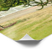 Araukarie. Poster (Ecke)