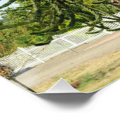 Araukarie. Poster (Ecke)