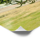 Araukarie. Poster (Ecke)
