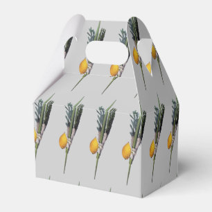 Arba Minim - Lulav, Esrog, Hadas & Aravah Geschenkschachtel