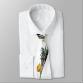 Arba Minim - Lulav, Esrog, Hadas u. Aravah Krawatte (Gebunden)