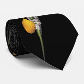 Arba Minim - Lulav, Esrog, Hadas u. Aravah Krawatte (Gerollt)