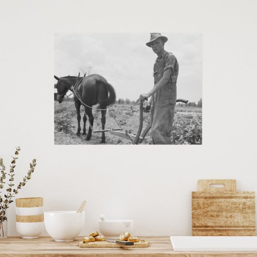 Arbeit in der Baumwolle Poster (Küche)