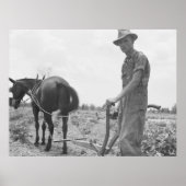 Arbeit in der Baumwolle Poster (Vorne)