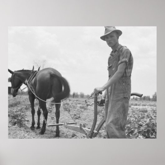 Arbeit in der Baumwolle Poster (Vorne)
