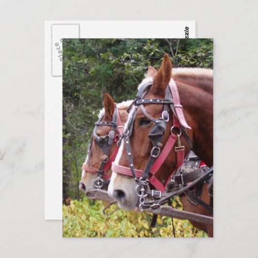 Arbeit Postkarte (Vorne/Hinten)