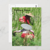 Arbeiten in der Rice Paddy Postkarte (Vorne/Hinten)